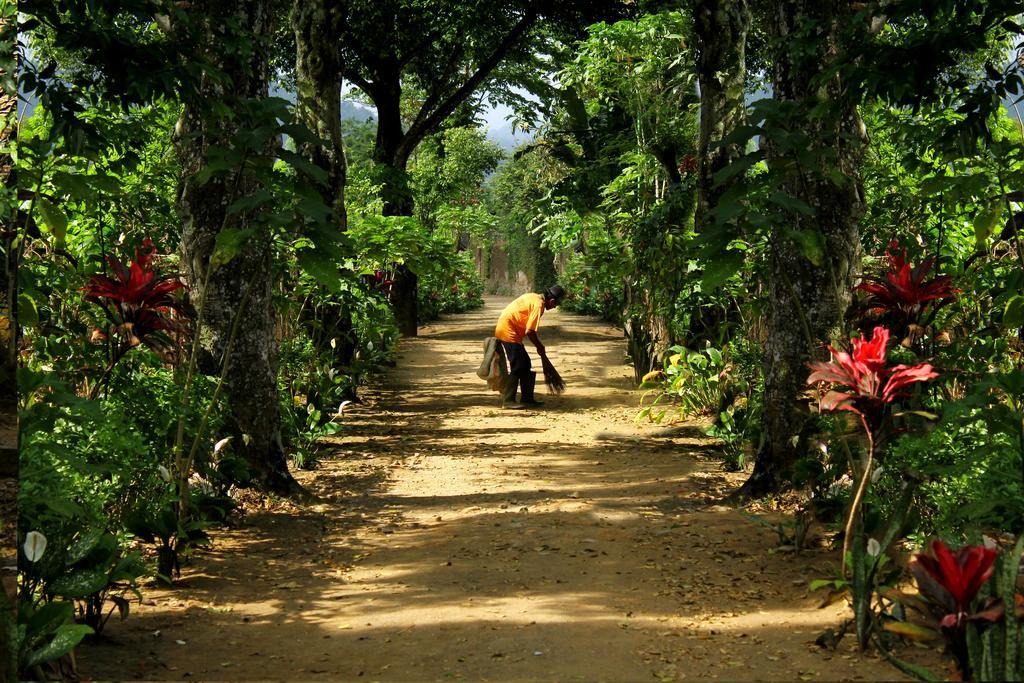 Margo Utomo Eco Resort Kalibaru Eksteriør bilde