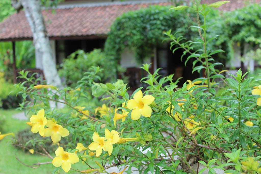 Margo Utomo Eco Resort Kalibaru Eksteriør bilde