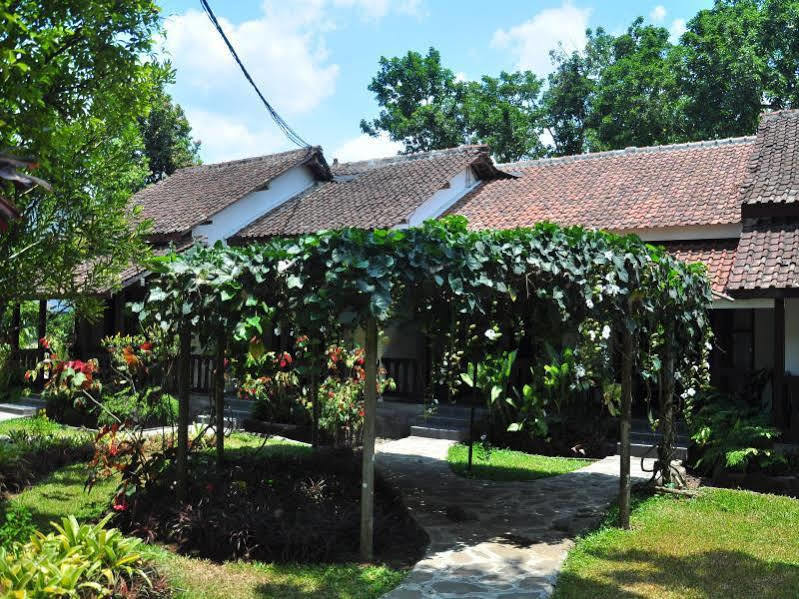 Margo Utomo Eco Resort Kalibaru Eksteriør bilde
